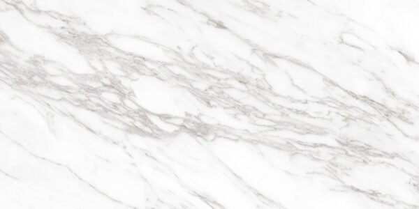 CALCUTTA-SILK_F4.jpg-filenameUTF-8CALCUTTA20SILK_F4-600x300